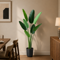 Decorațiune Strelitzia Nicolai, 150 cm, Verde
