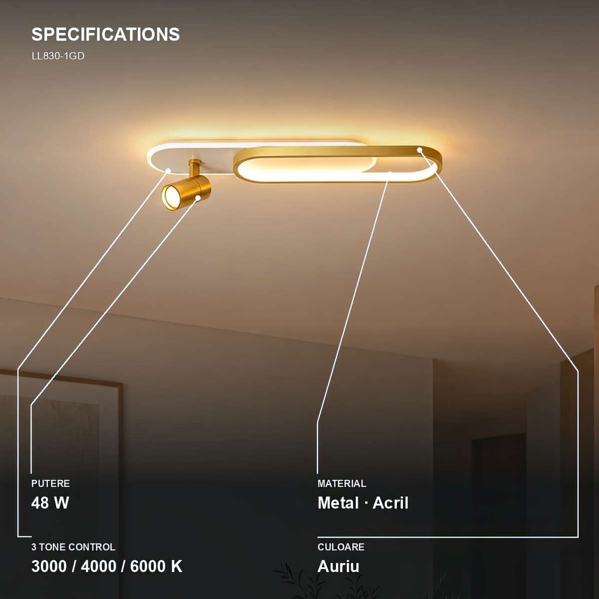 Proiector LED Reglabil FISSO Camilla, 48W, lumina Rece/Calda/Neutra 3000K/4000K/6000K, Auriu Lucios, Metal si Acril, imaginea 3