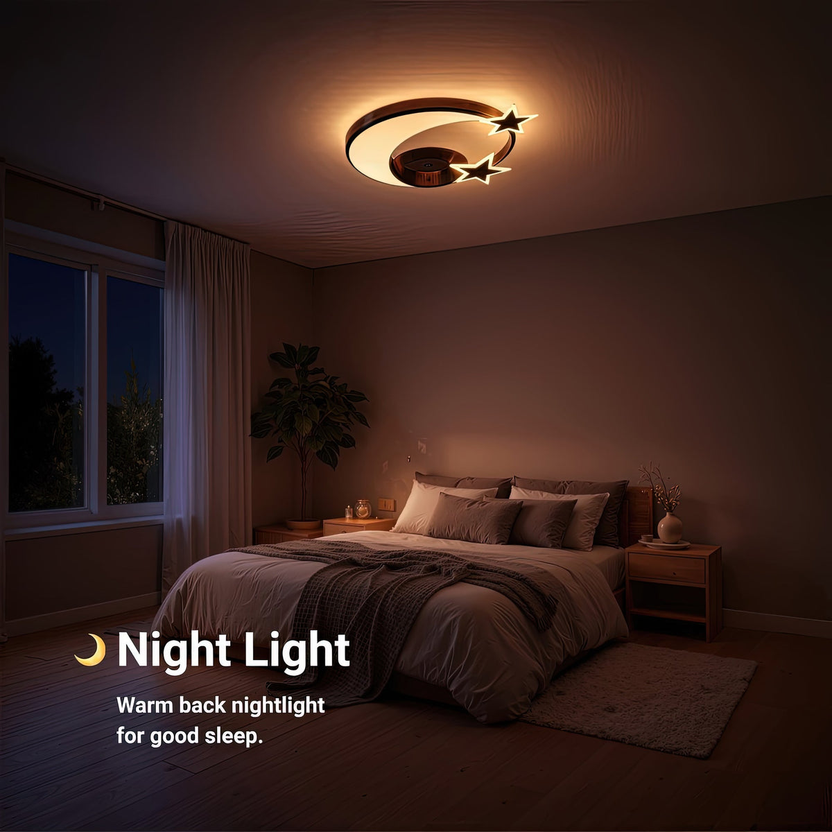 LT219BK - 5. NIGHT LIGHT