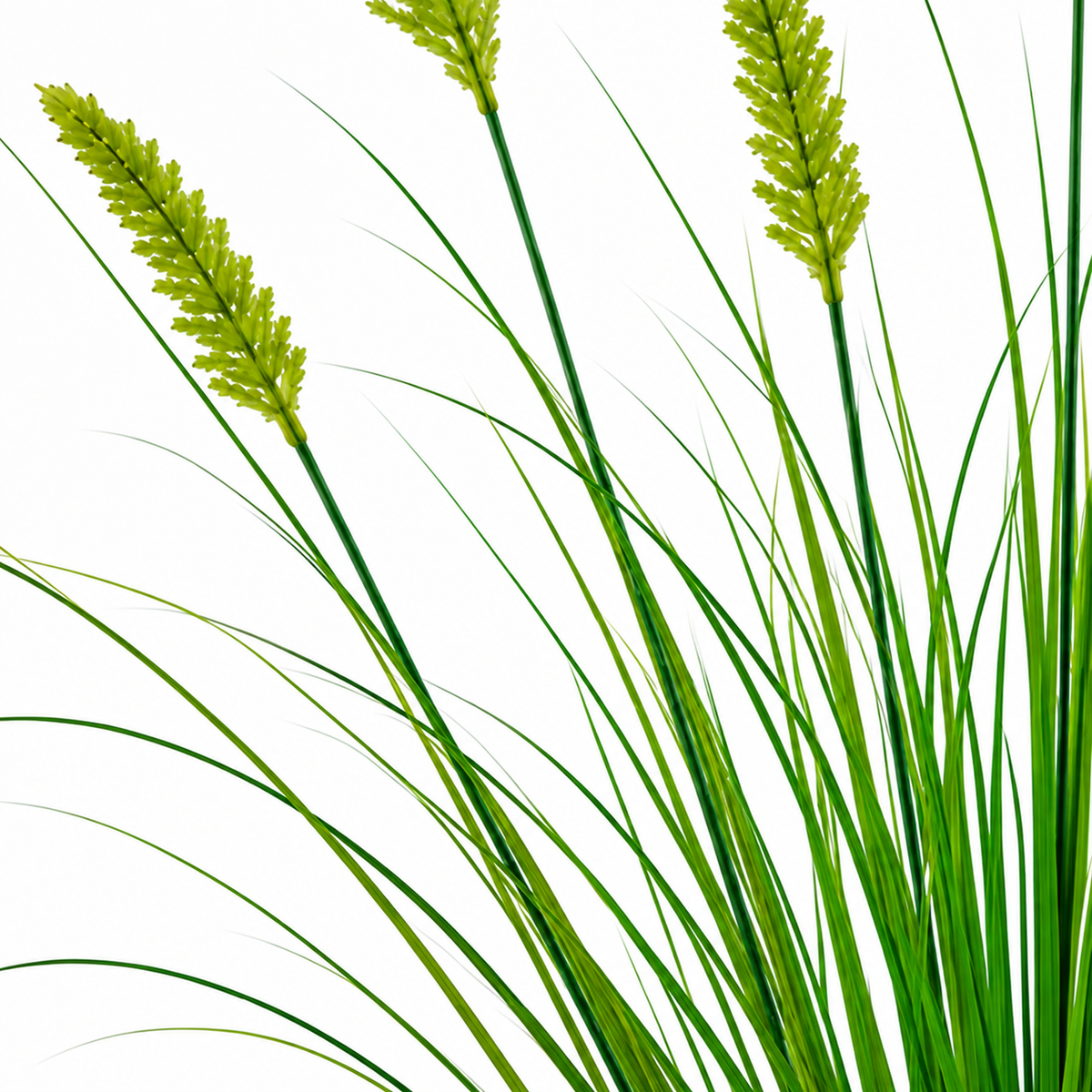 Planta Artificiala Iarba Ornamentala Tip Coada Vulpii, 60 cm, cu 7 Spice, Verde, Fara Ghiveci