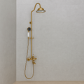 Coloana Dus, Alama Sanitara, Auriu, WZY/310/B